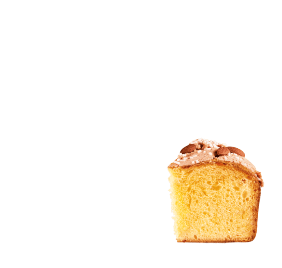 colomba senza canditi