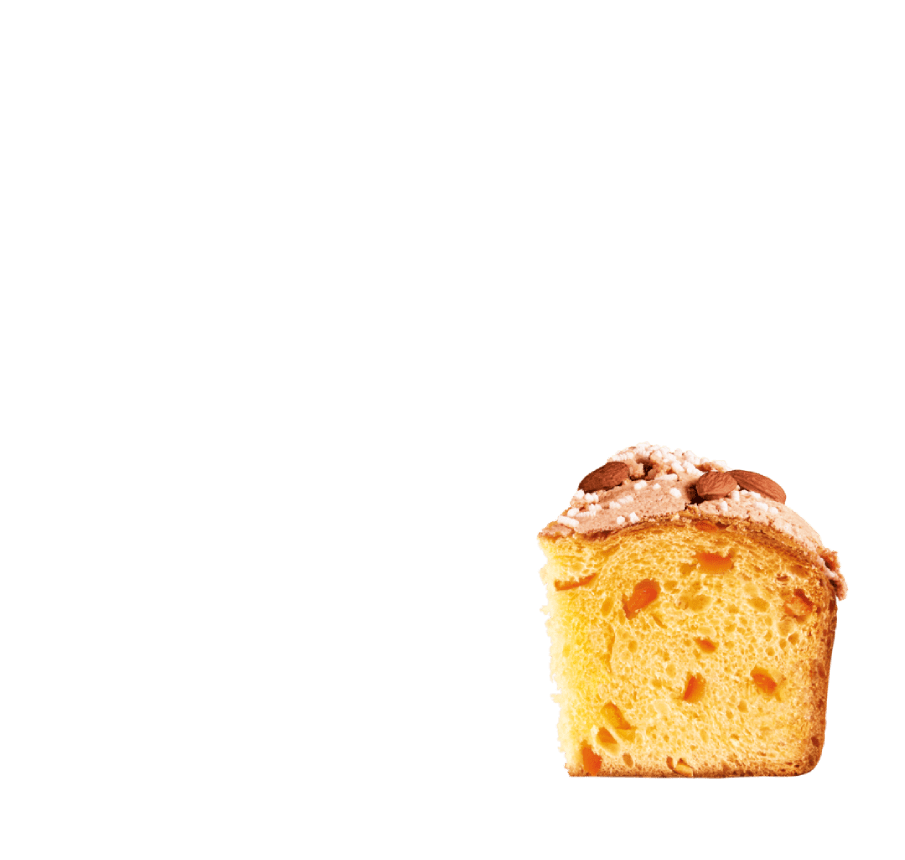 colomba tradizionale
